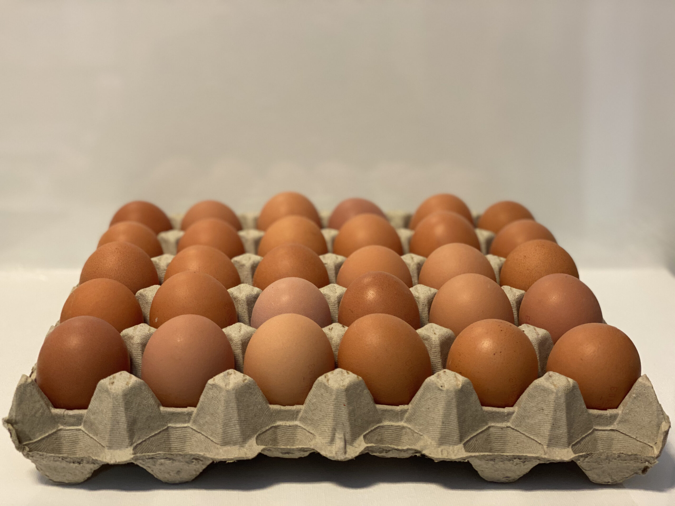rollen fotografie Turbulentie 30 eieren op tray - Kaasboerderij De Zuidgeest